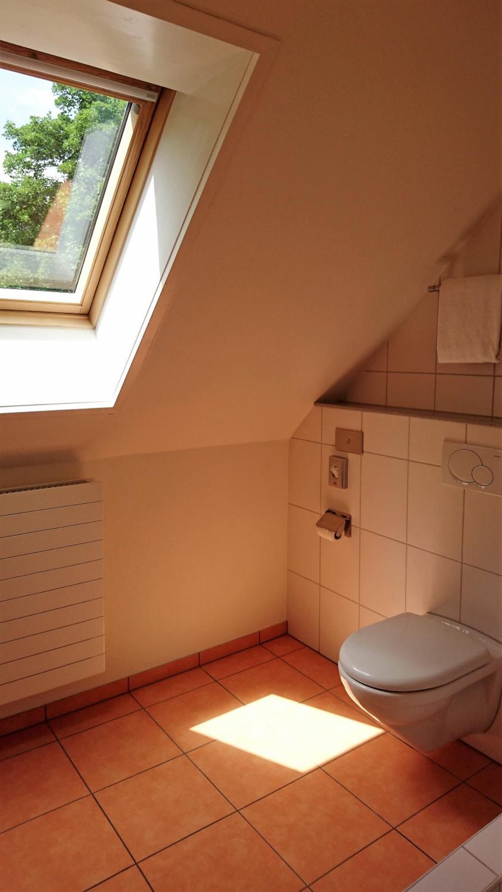 free toiletries, hair dryer, towels, soap