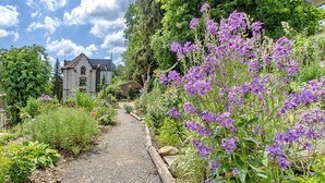 Un sendero de jardín que conduce a un edificio con techo inclinado, rodeado de exuberante follaje y flores moradas.