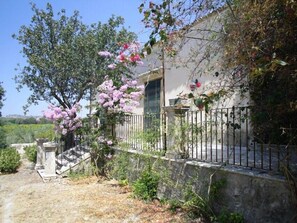 A rustic house with a stone staircase leading to a door, surrounded by a metal fence and flowering plants.
