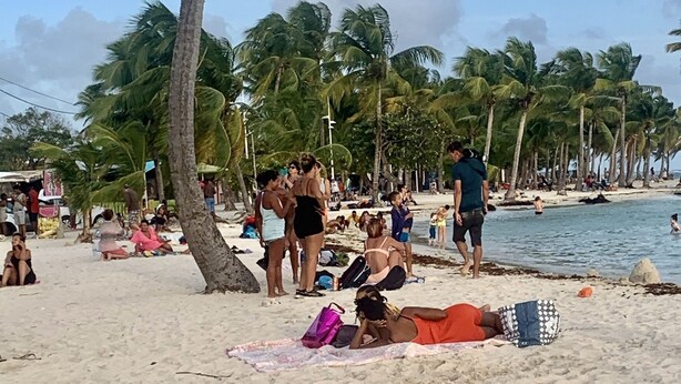 A beach scene with palm trees, people sunbathing, and a sandy shore. - Functional holiday home 2 minutes from the beach (Ste anne)