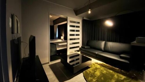 A modern living room with a sofa, a TV, and a unique shelving unit. - Randor Residence Tokyo Classic (Tokyo)