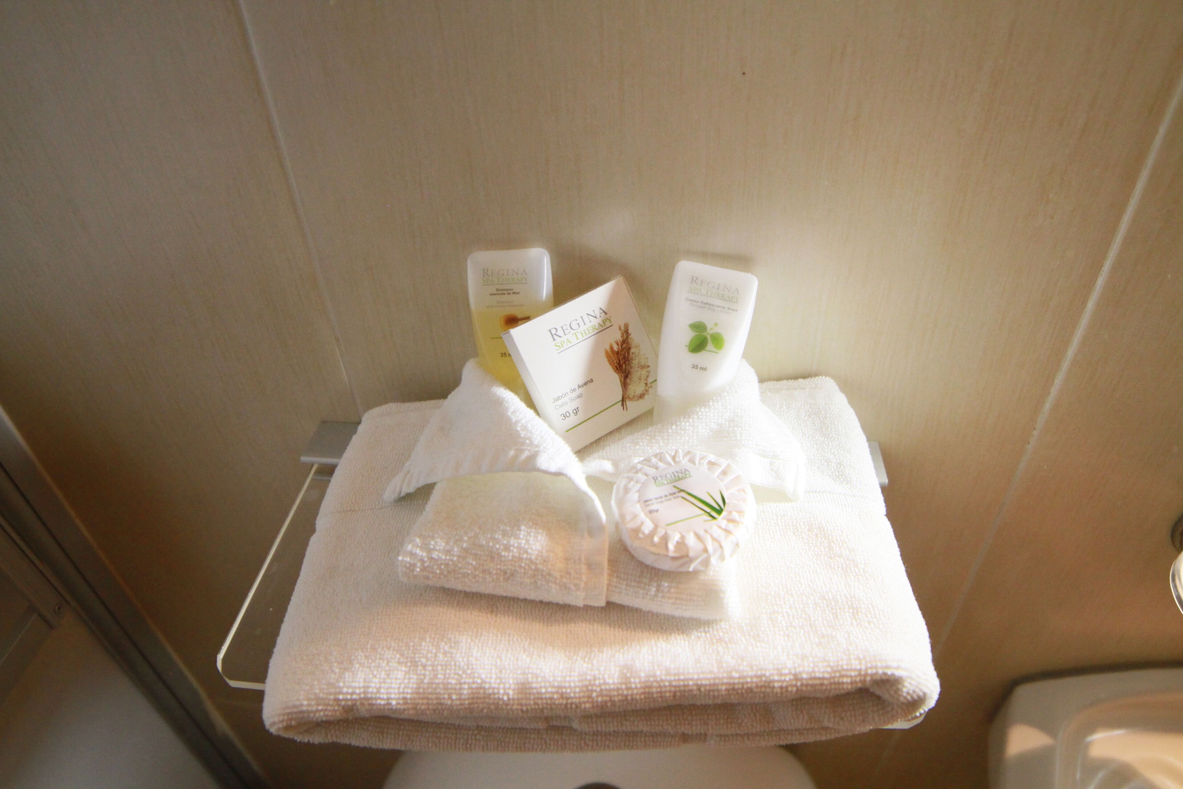 basic suite | bathroom | shower, towels