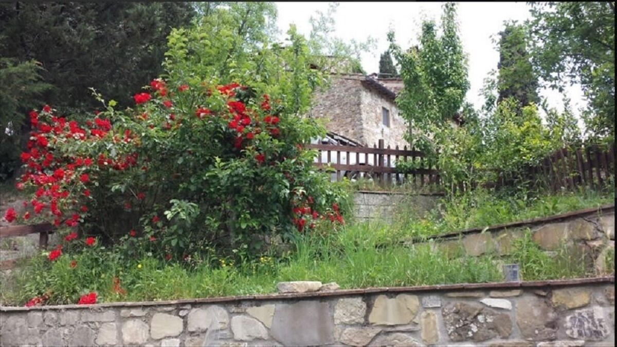 Imagem do perfil do anfitrião