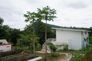 Un edificio de fachada blanca con un balcón, rodeado de vegetación y un paisaje montañoso.