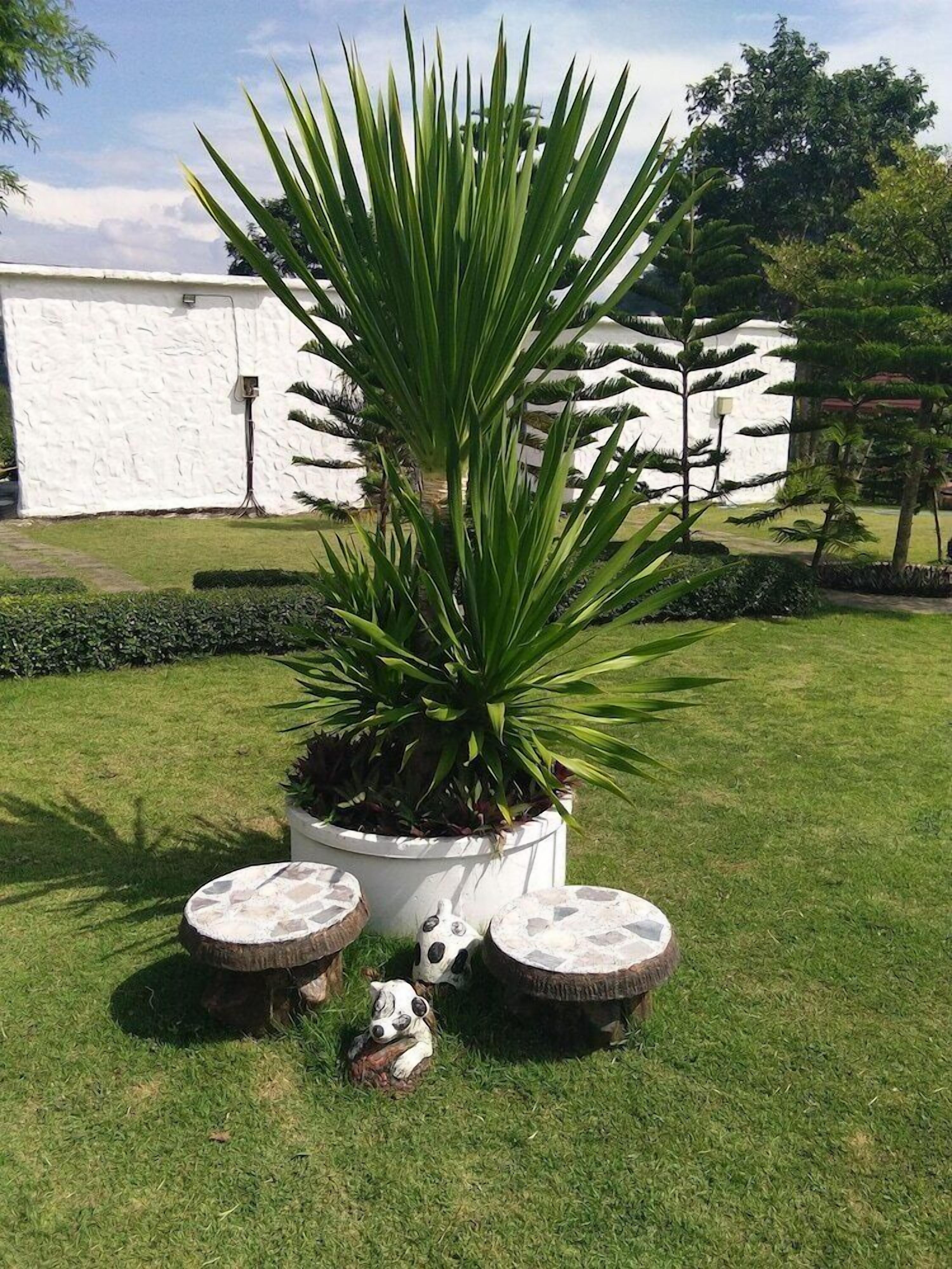 Áreas de la propiedad