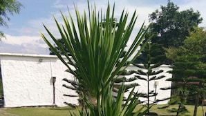 Khuôn viên nơi lưu trú