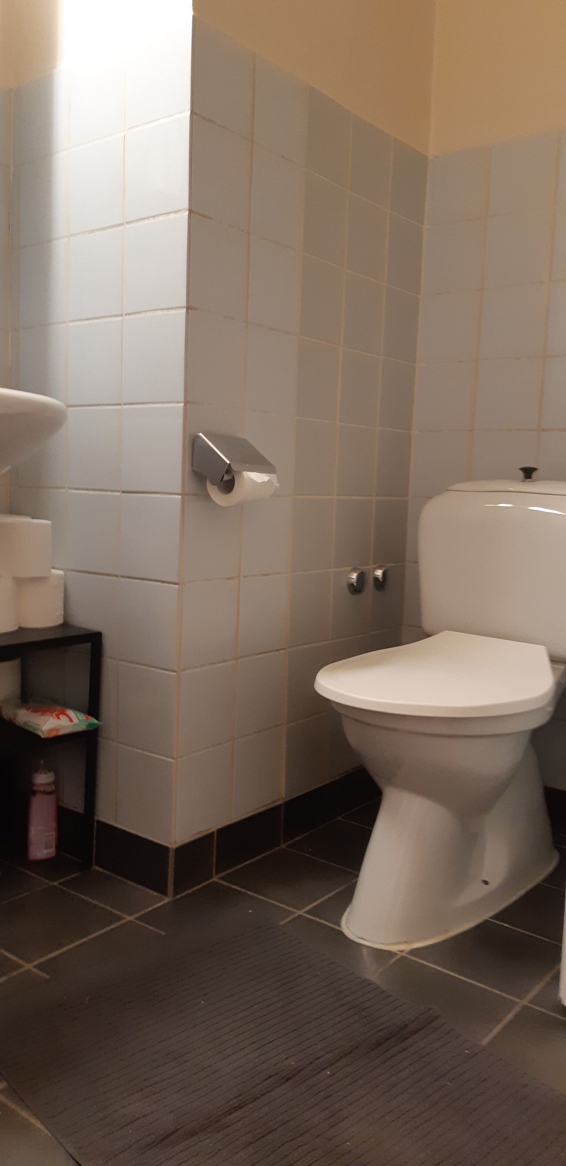 Apartment | Bathroom | Bathtub, hair dryer, towels, soap