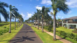 Un sendero bordeado de palmeras que conduce a un resort con edificios de varios pisos.