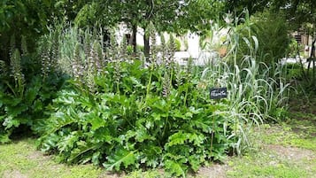 Jardín