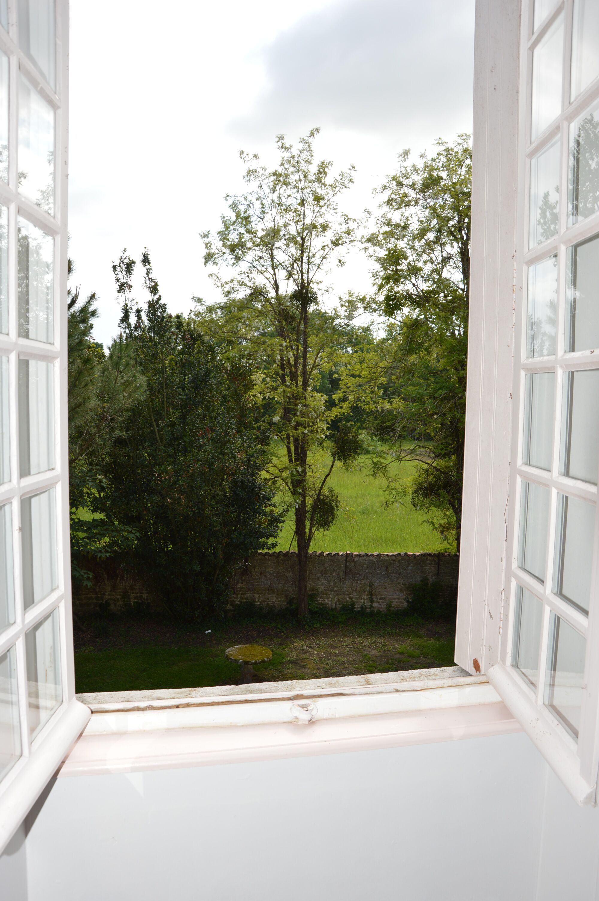 Ein offenes Fenster mit Blick auf eine Wiese und Bäume.