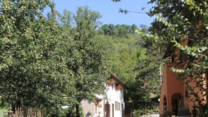 A rural road leading to a white building with a brown roof, surrounded by lush greenery and a metal gate. - Agriturismo Rio Verde (Sasso Marconi)