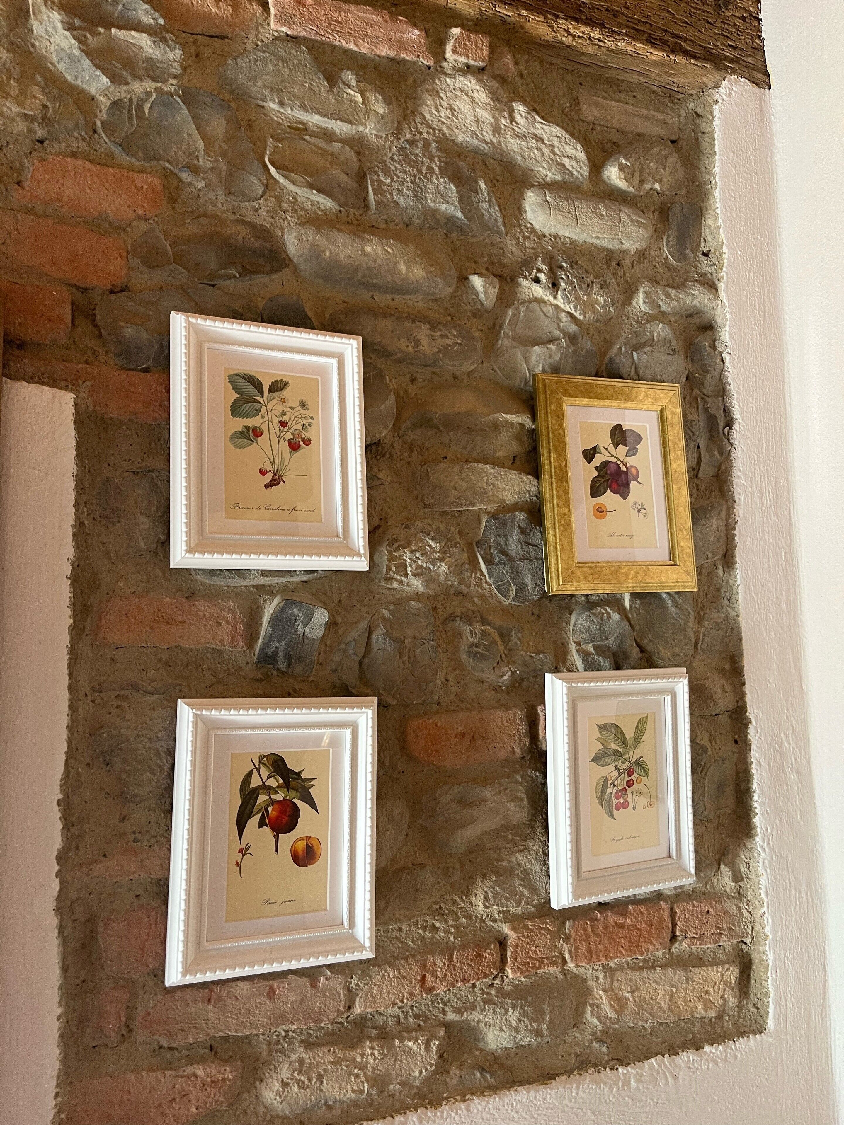Quattro stampe incorniciate di motivi botanici su un muro in pietra.
