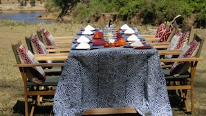 Mesa de comedor al aire libre con mantel estampado de cebra, rodeada de sillas de madera con cojines decorados.