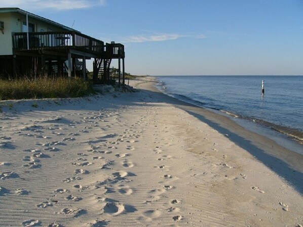 Beach nearby, sun loungers -  Secluded Florida Beach Bungalow SNOWBIRD SPECIAL $2800  MONTH JAN. 3-31 OR FEB! (Panacea)