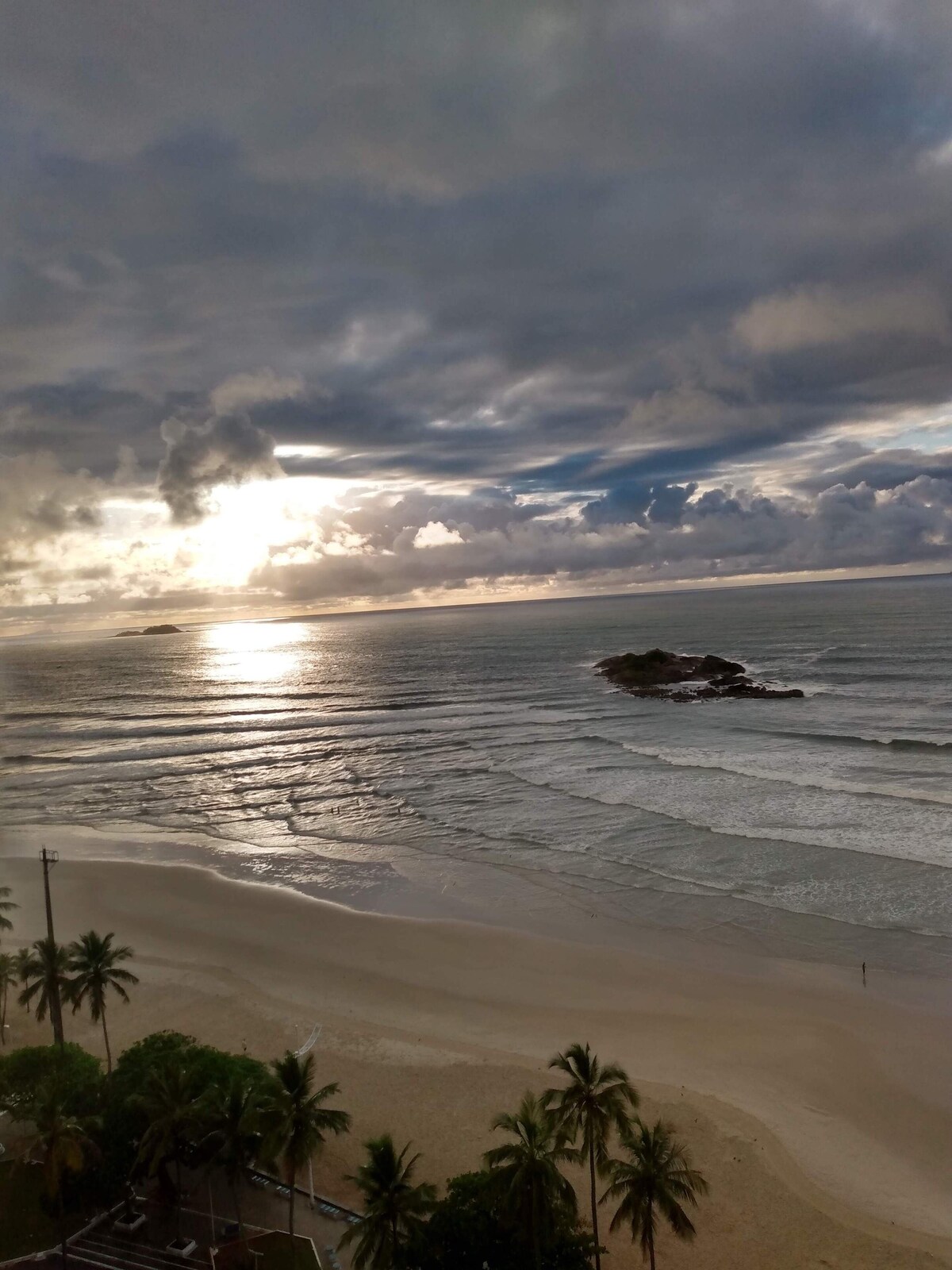 Imagen de perfil del propietario o de la propietaria