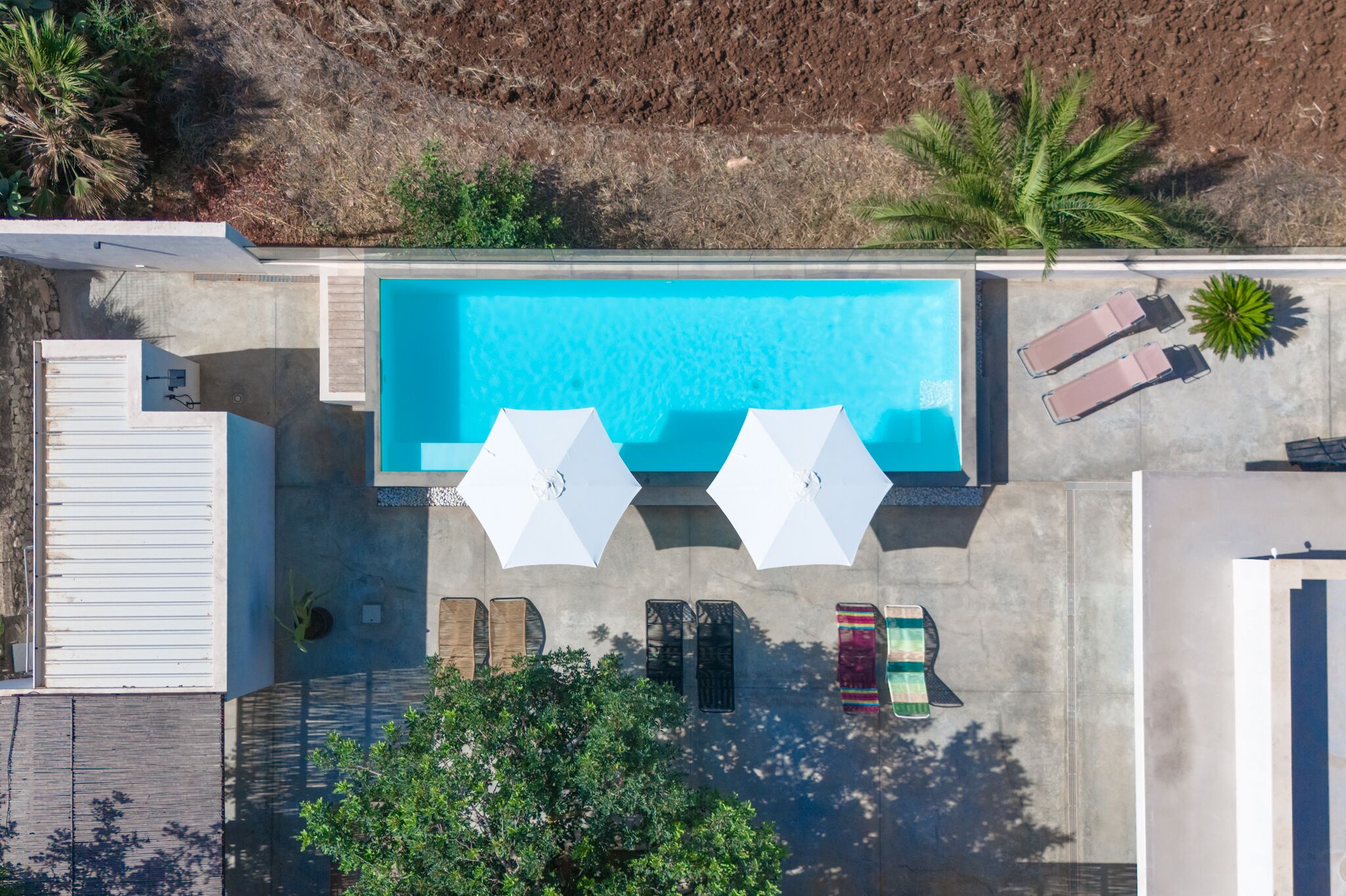 An aerial view of a swimming pool with two sun loungers and umbrellas, surrounded by a landscaped area with palm trees and a building with a garage door.