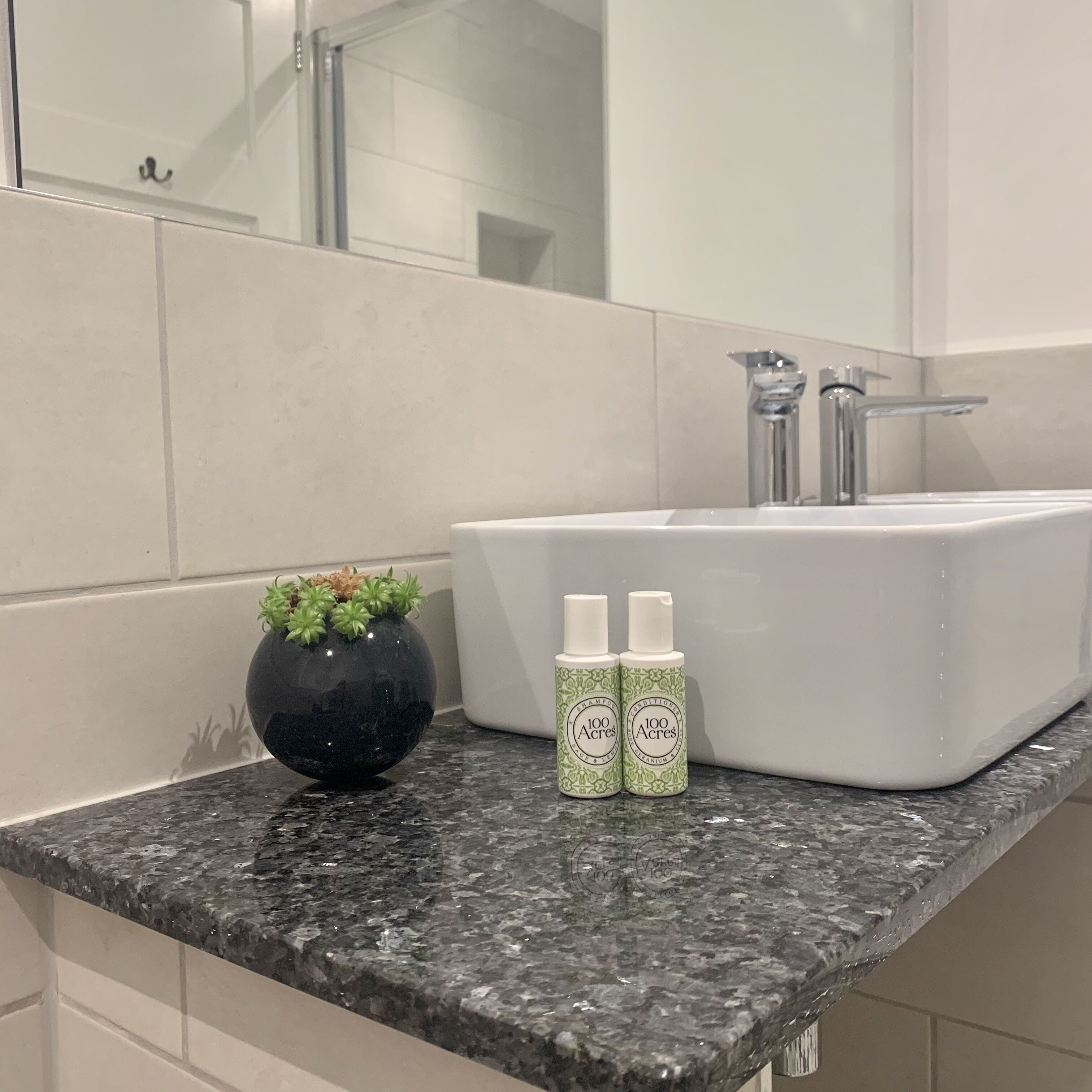A bathroom with a white sink, two bottles of shampoo, and a black vase with green plants on a granite countertop.