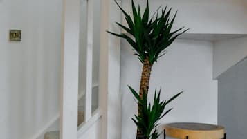 家庭雙人房 | 高級寢具、舒適加層、客房內保險箱、獨特裝潢