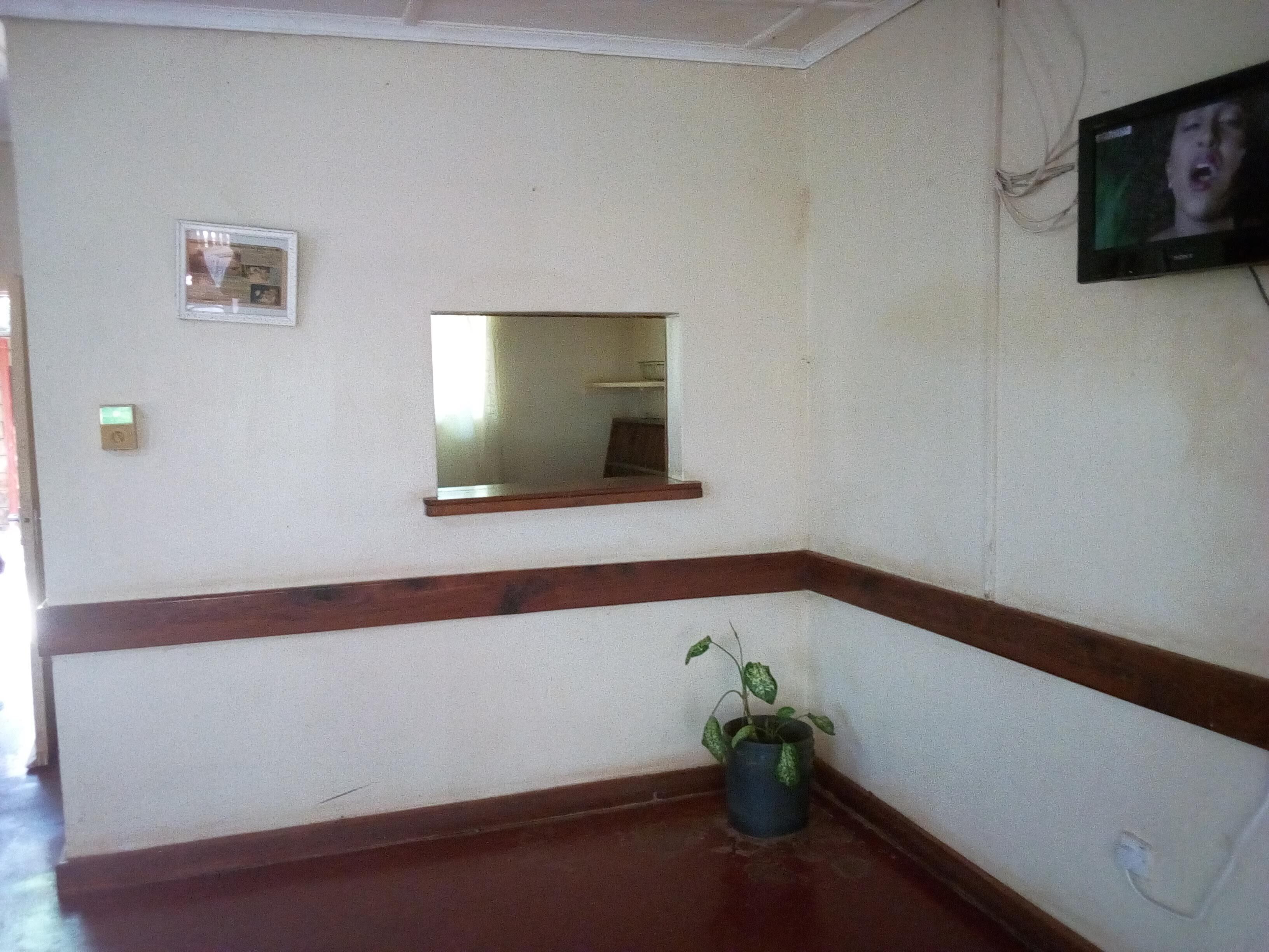 A room with a wooden floor, a potted plant, a framed picture, a mirror, and a television mounted on the wall.