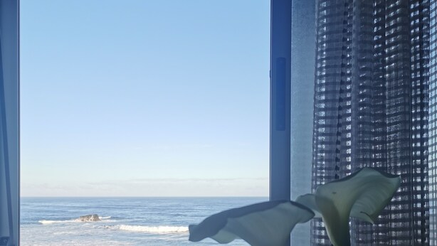 A window with a view of the ocean and a plant in the foreground. - BEAUTIFUL APARTMENT ON THE SEA OF THE SEA. (moya)
