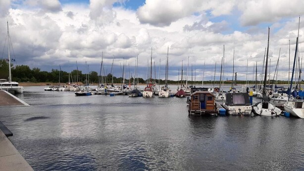 En småbåtshamn med flera segelbåtar förtöjda.