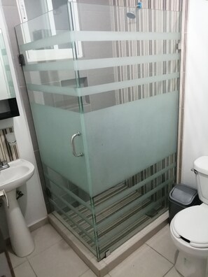 Bathroom - House in private subdivision (Aguascalientes)