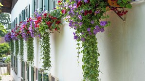 A building with multiple flower boxes filled with red and purple flowers.