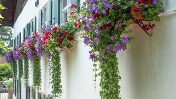 DĂ©tail de lâextĂ©rieur