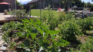A garden with various plants and a wooden deck. - Chambre d'Hotes des Bassins (Saint-Paul-en-Chablais)