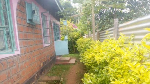 Um trilho de terra estreito, ladeado por um muro de tijolos e um sebedeiro.