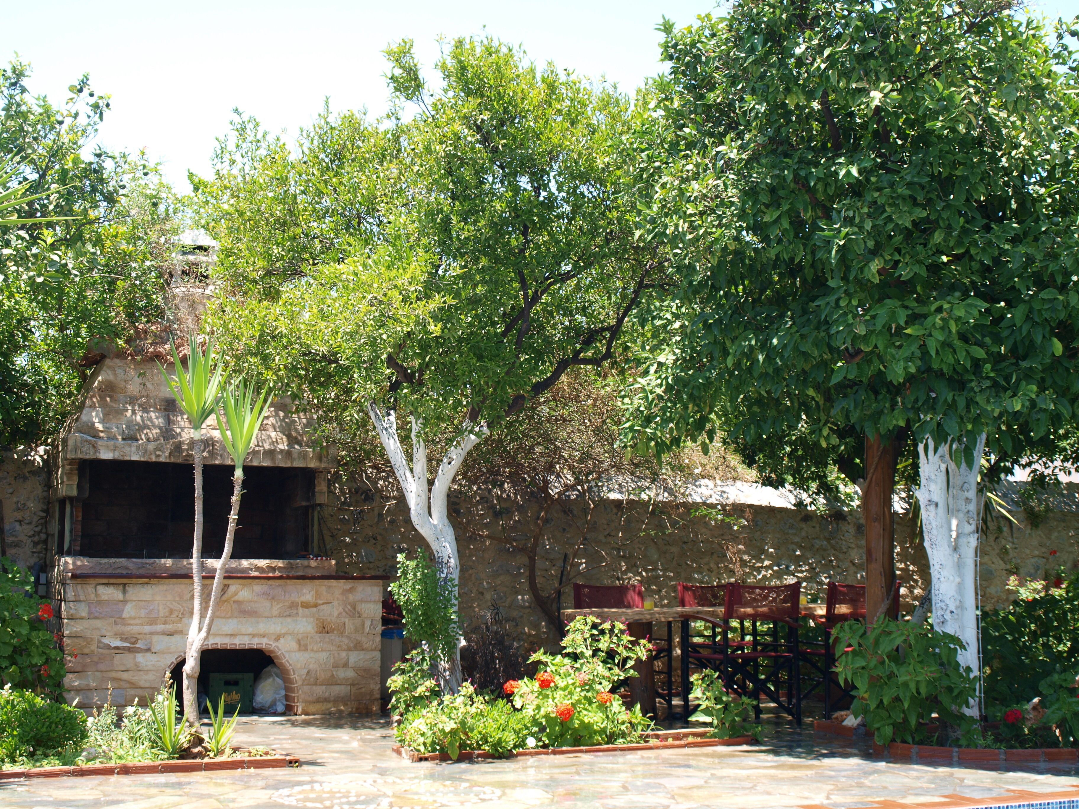 A courtyard with a stone building, a wooden pergola, and various plants.
