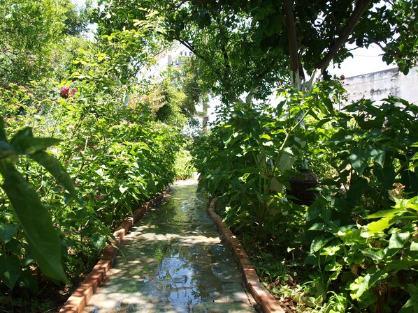 Property grounds - VILLA WITH  PRIVE POOLGARDEN AREA, bbq , wi-fi,  near sea , town, local tavern (rethymno)