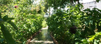 VILLA WITH  PRIVE POOLGARDEN AREA, bbq , wi-fi,  near sea , town, local tavern