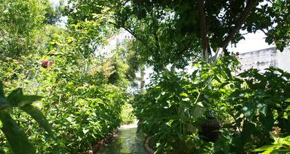 VILLA, zone de jardin de la piscine, avec barbecue, prĂšs de la mer et de la ville, tavernes locales