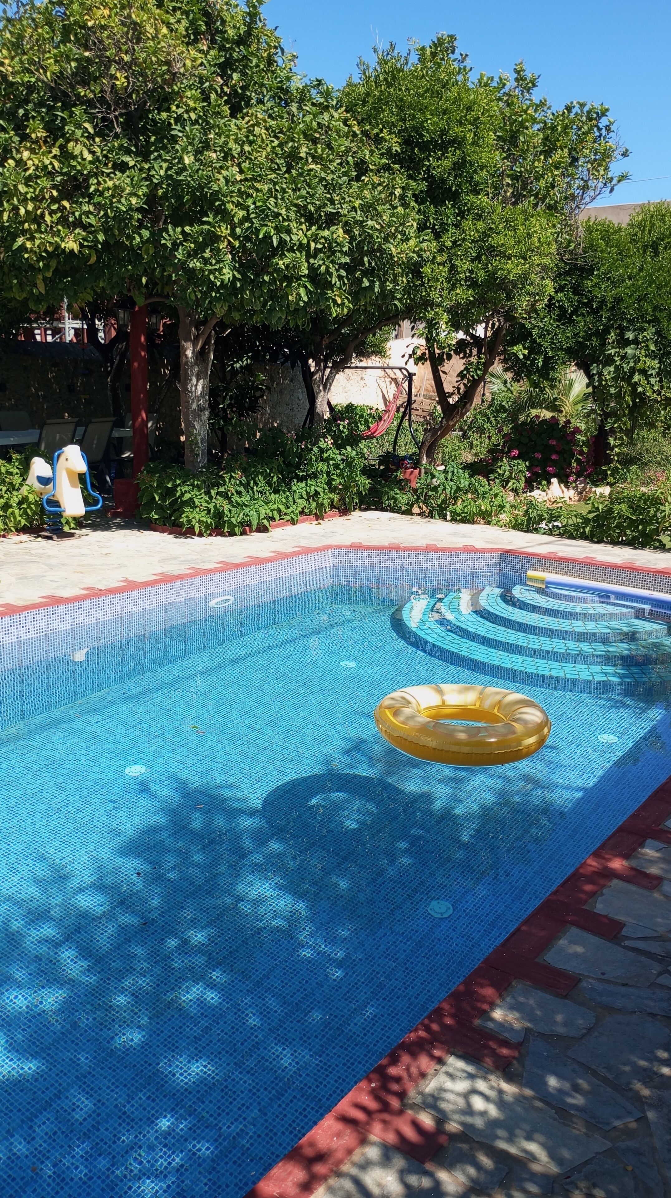 Una piscina con superficie d'acqua cristallina e azzurra, circondata da vegetazione lussureggiante e alberi.