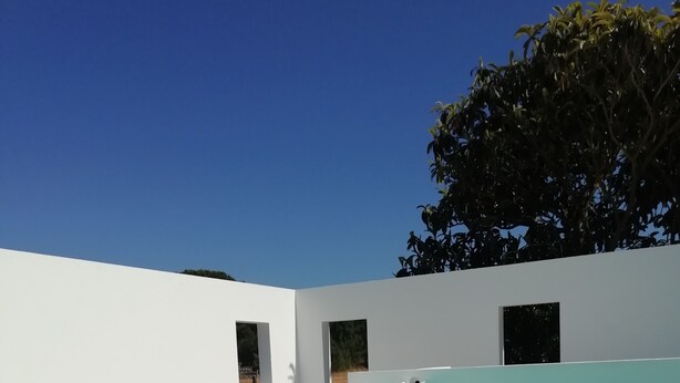 A modern pool area with a clear blue sky, white walls, and a tree in the background.
