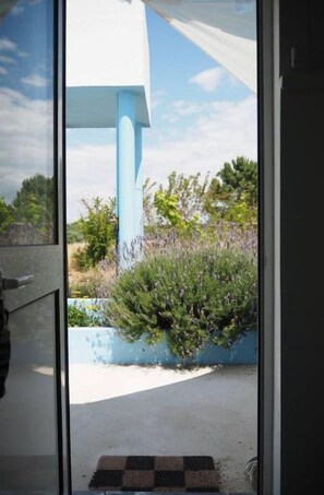 Blick durch eine Glastür auf ein Gebäude mit einer blauen Struktur und einen kleinen Garten mit Büschen und einem Betonweg.