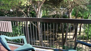 A balcony with a metal railing, overlooking a wooded area with trees and a distant view of a building. - Croce del Sud 39 - Lignano (Lignano Sabbiadoro)