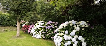 Renoverat hus, stor trÀdgÄrd, nÀra strÀnder