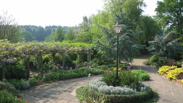 Un jardín con un sendero central, rodeado de diversas plantas y un farol.