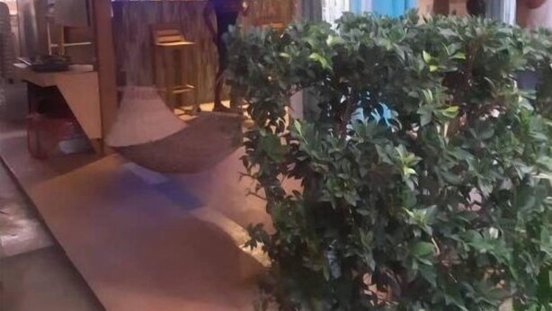 A cozy indoor space with a bar area, a potted plant, and a staircase leading to an upper level. - Ferrer's Villa Apt 3 close to beaches, parks, banks, market and parks. (Romblon Odiongan)