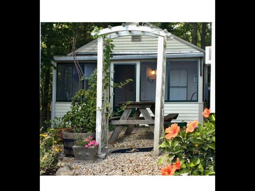 Cozy, perfect location, dog friendly
Updated calendar with more availability!!