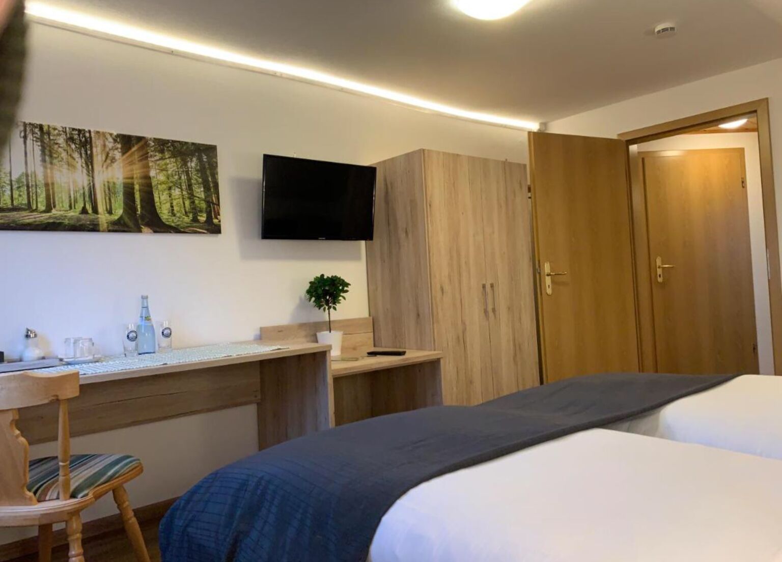 Deluxe Double or Twin Room | Hypo-allergenic bedding, desk, laptop workspace, free WiFi