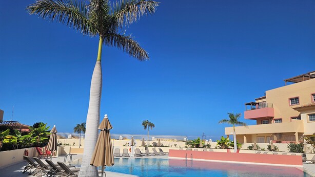 Un espace aménagé au bord de la piscine, avec des chaises longues, un palmier et un bâtiment doté de balcons.