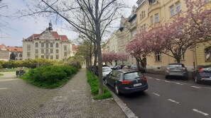 Property grounds - Art nouveau beauty (prague)