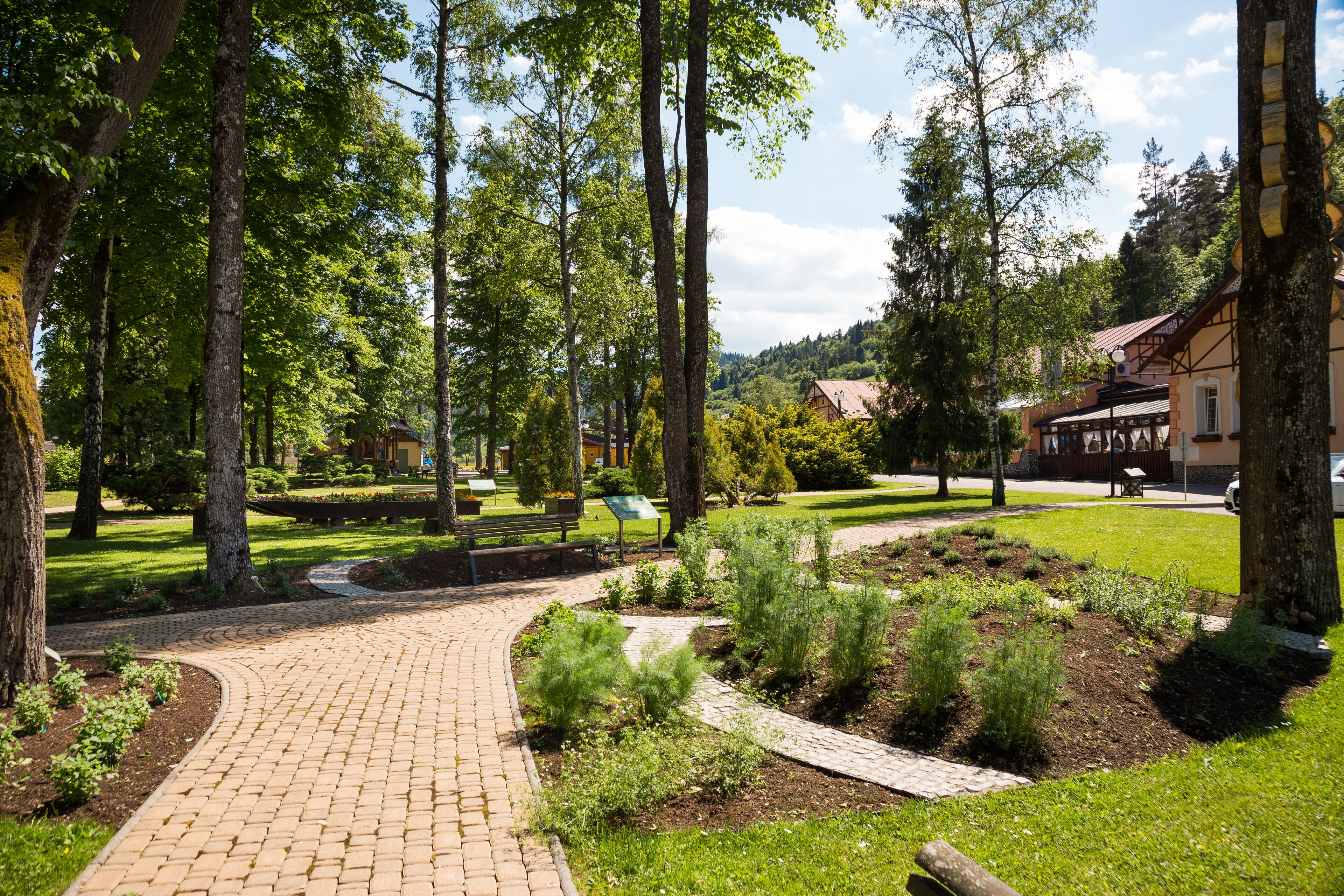A paved walkway in a park-like setting with trees and a building in the background.