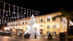 A building with a large Christmas tree and string lights.