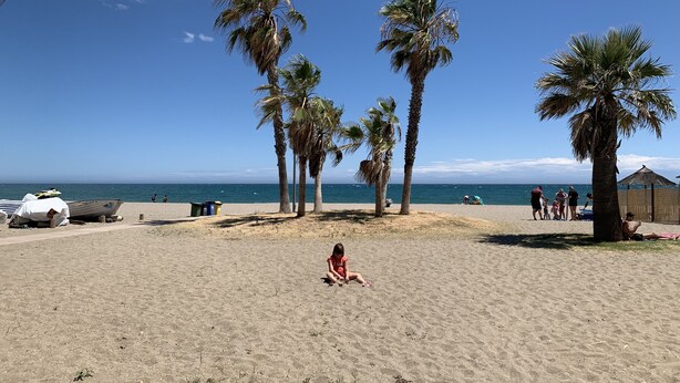 A sandy beach with palm trees and a clear blue sky. - Casa Playa El Torreon (La cala de mijas)