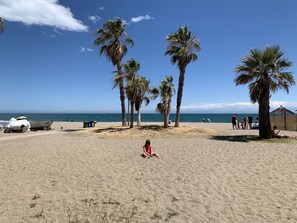 Uma praia arenosa com palmeiras e um céu azul límpido.