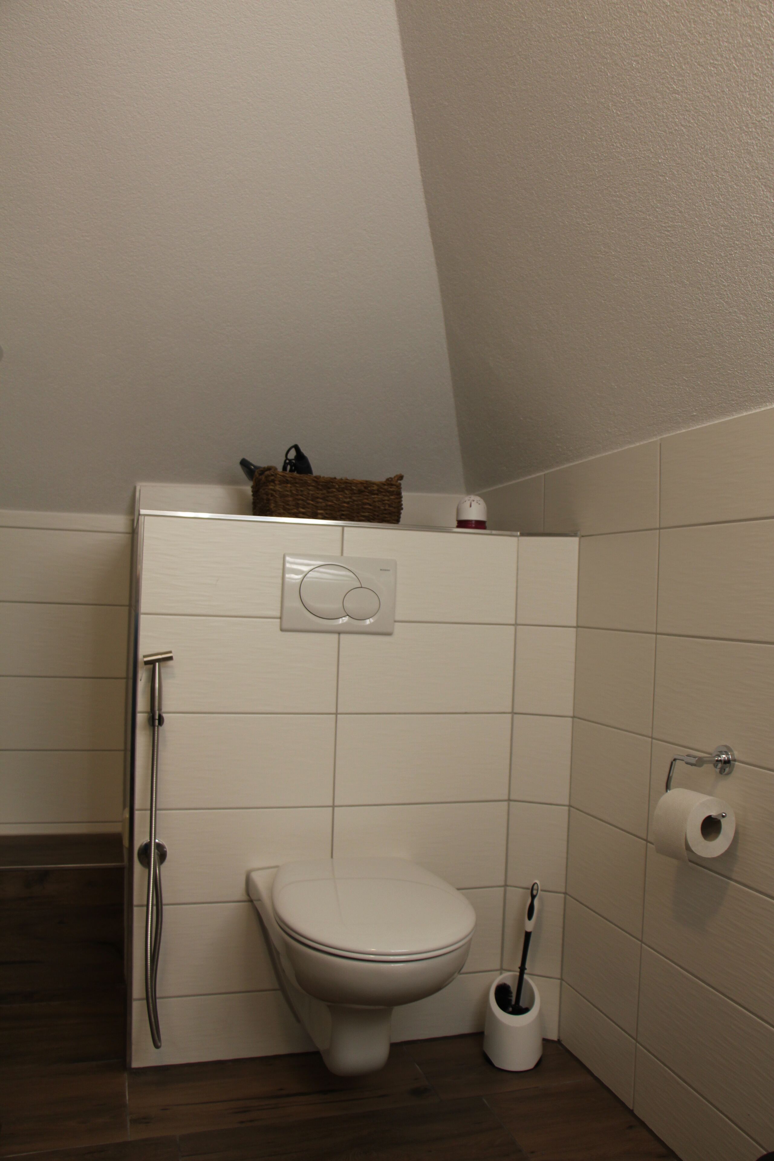 Un baño pequeño con inodoro, ducha y un perchero para toallas.